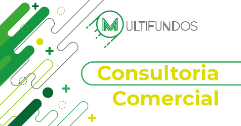 Consultoria Comercial